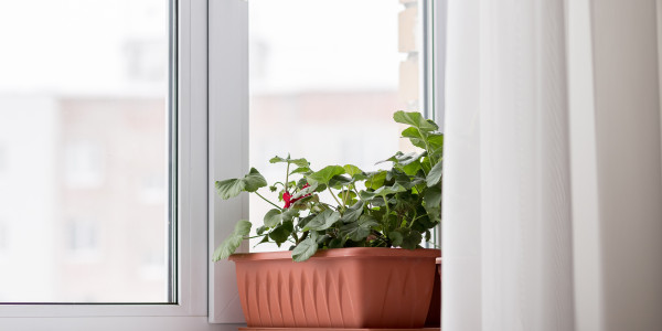 Fabricantes / Instaladores de Puertas y Ventanas de Aluminio / PVC Tortellà · Doble Acristalamiento